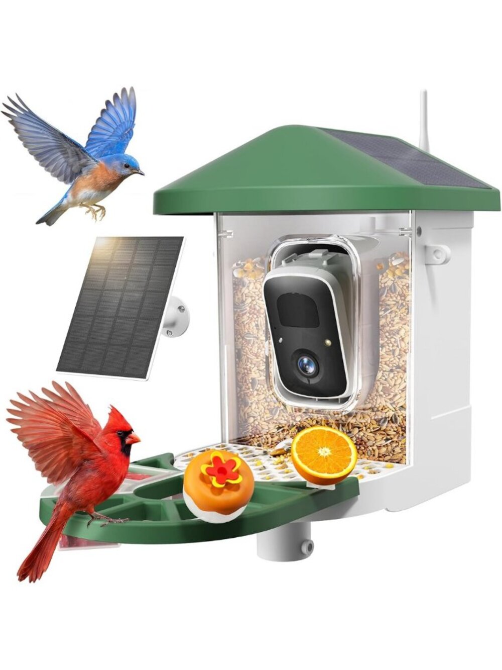 Smart Bird Feeder with Camera Solar Powered, 2K HD Live Video, 10,000+ Bird